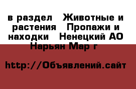  в раздел : Животные и растения » Пропажи и находки . Ненецкий АО,Нарьян-Мар г.